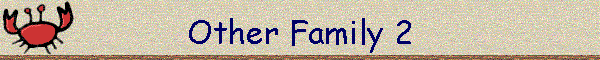 Other Family 2